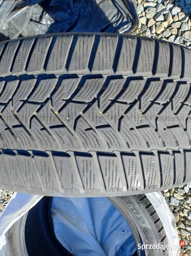 Dunlop Winter Sport 5 22545R17 91H Rzeszów