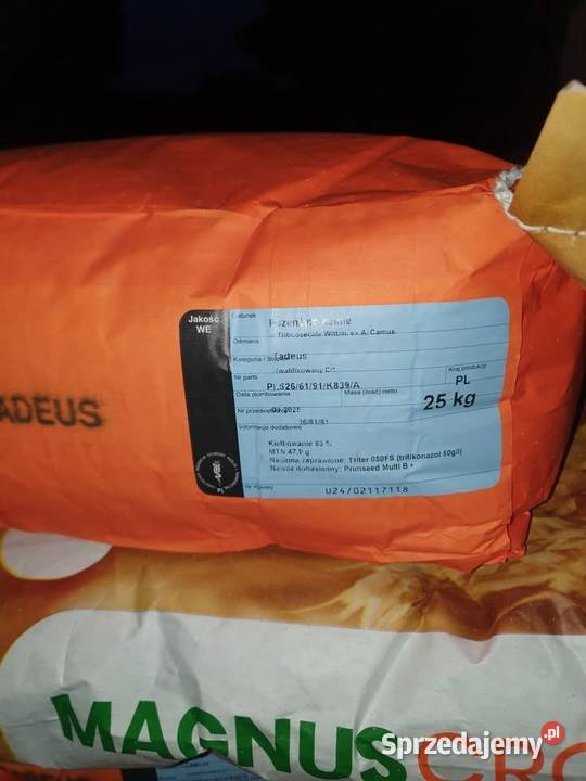 Pszenżyto Tadeus 15 tony Siedliska-Bogusz