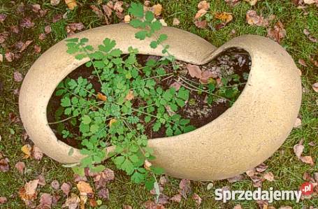 Sprzedam 4 mrozoodporne donice ceramiczne 80 x Jelenia Góra