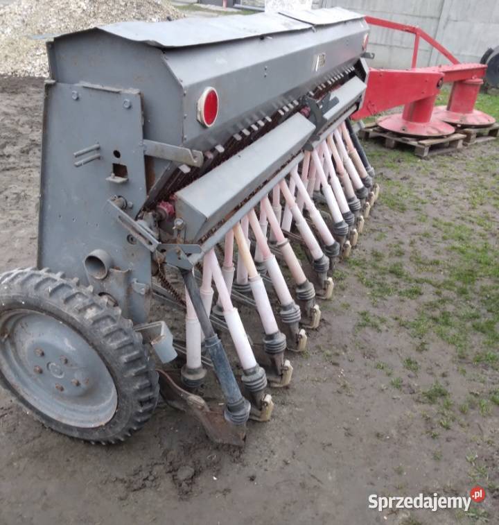 Siewnik poznaniak Mnichów