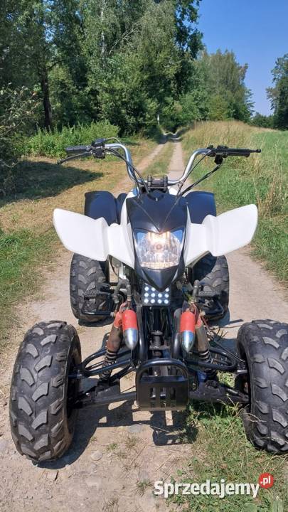 Bashan 250 manual Krosno