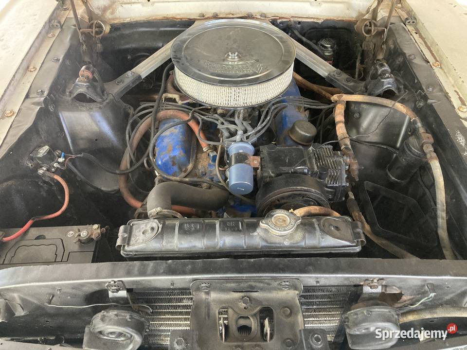 1965 Ford Mustang V8 289 wielkopolskie Konin