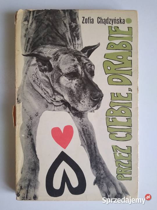 Drabie Zofia Chądzyńska sprzedam