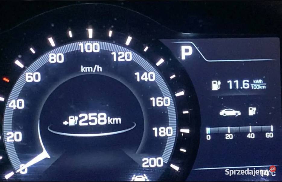 Hyundai Ioniq 28 kWh 120KM IONIQ Kraków sprzedam
