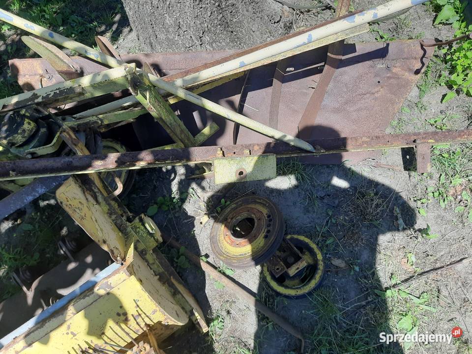 Szarpacz słomy Truskolas