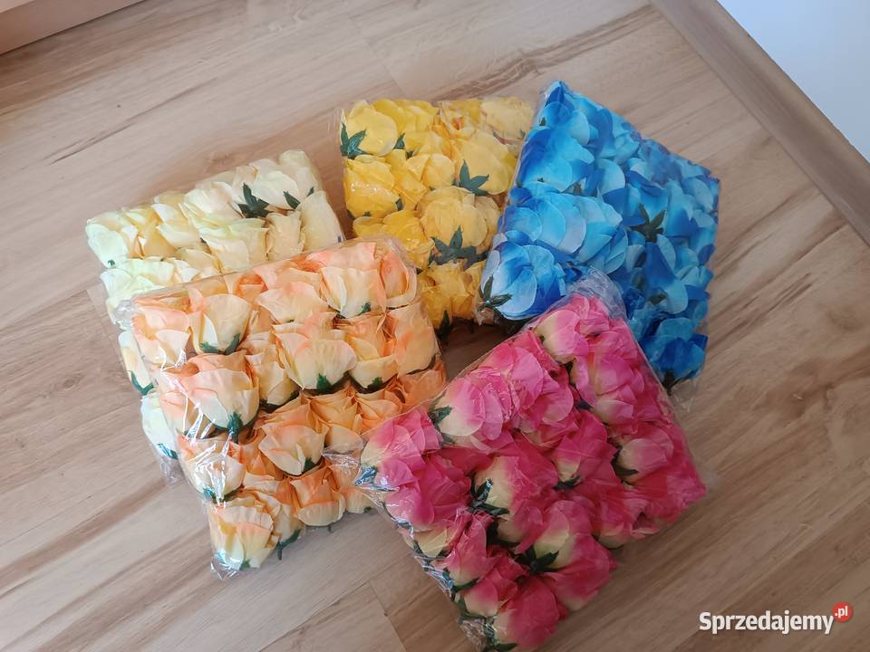 Róże rozwinięte 8 5902388316 AD BK kolory kwiaty Zagnańsk