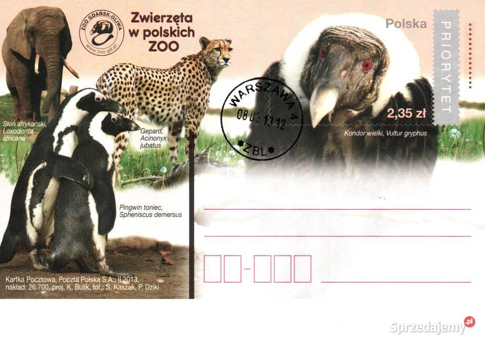 Całostki karty pocztowe 2013r wielkopolskie Konin