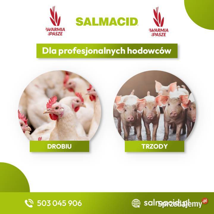 SALMACID zakwaszacz do wody paleta 528 24 x 22 podlaskie Bielsk Podlaski