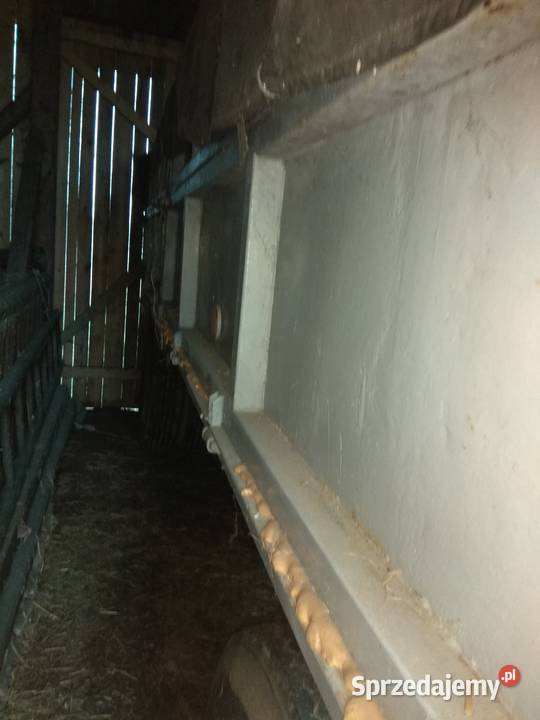 Przyczepa rolnicza typ HL 8011 98 t Przyczepy rolnicze Osiek