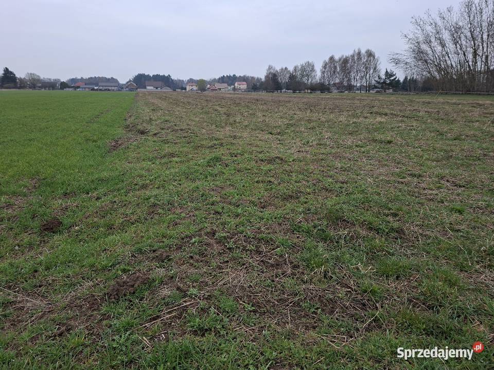 Działki budowlane świętokrzyskie