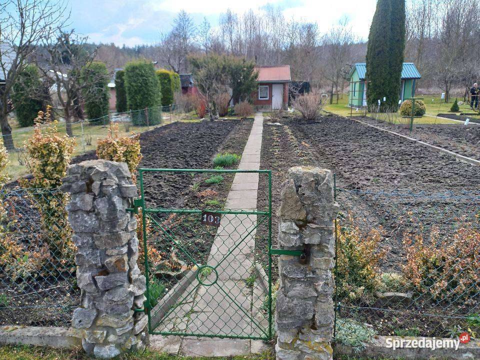 sprzedam działkę na Kamionce w Tarnobrzegu ROD Tarnobrzeg