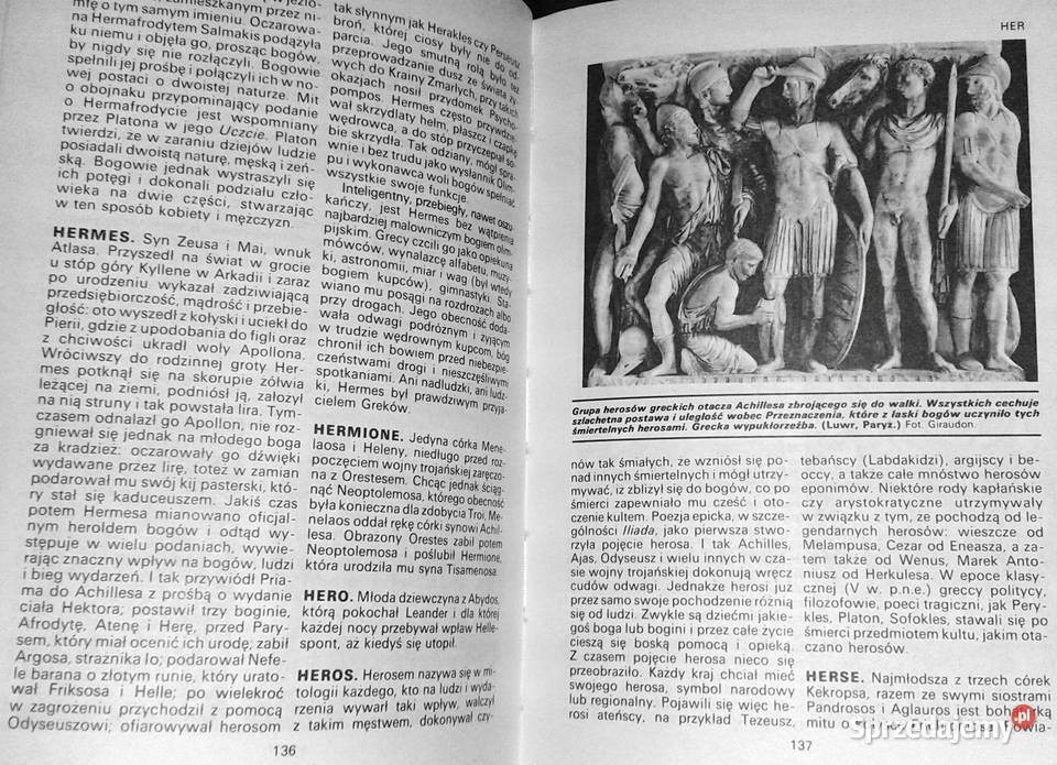 Słownik mitologii greckiej i rzymskiej Joel Pozostałe Chełm
