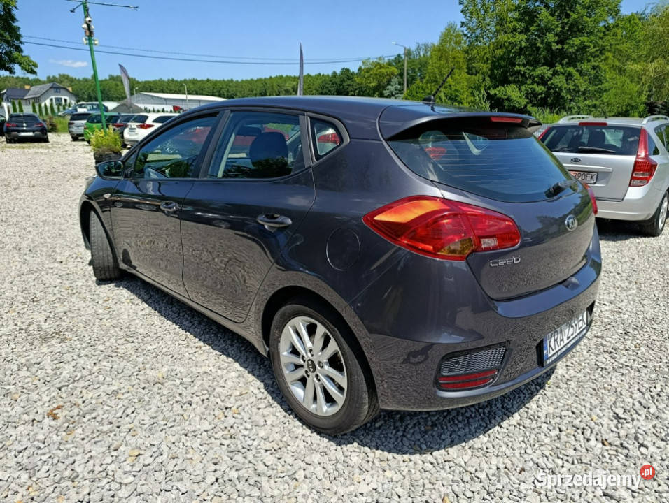 Kia Ceed Zadbana serwis alufelgi II 2012 nawigacja Kia Dulowa