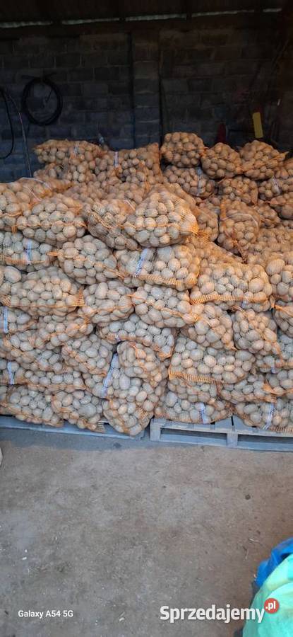 Ziemniaki soraya Jelcza