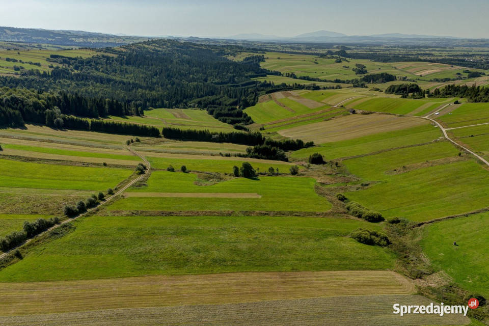 Dursztyn działka 1529 m 52zł/m2