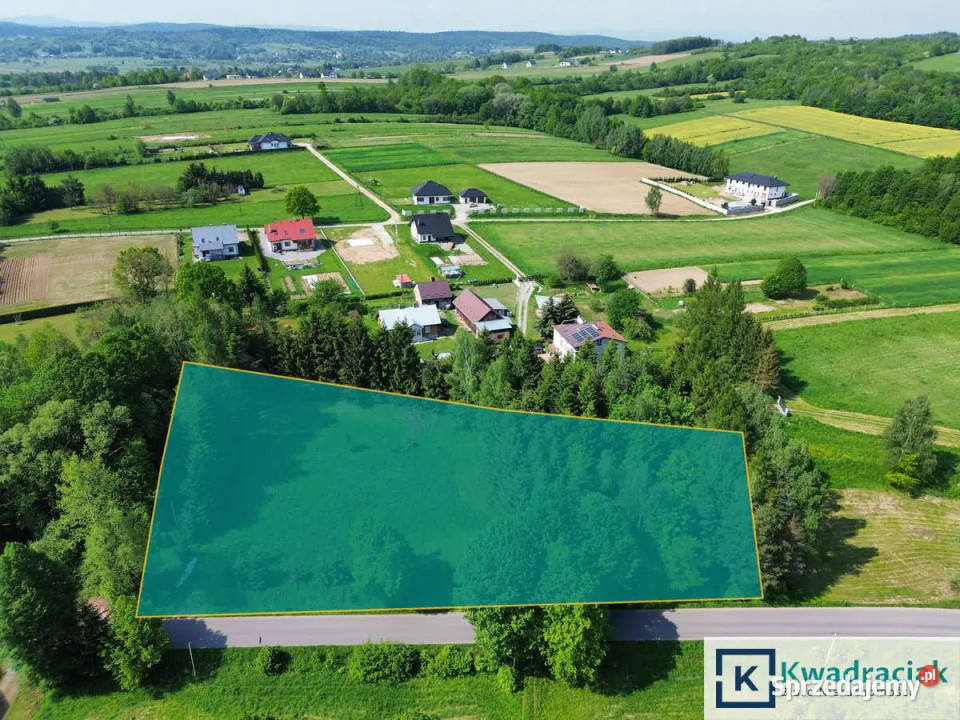 Grunt 4900m2 Zręcin Konopnickiej Sprzedaż