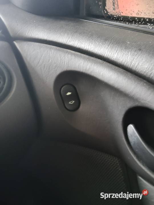 Sprawna Foczka małe pieniążki manualna Łask