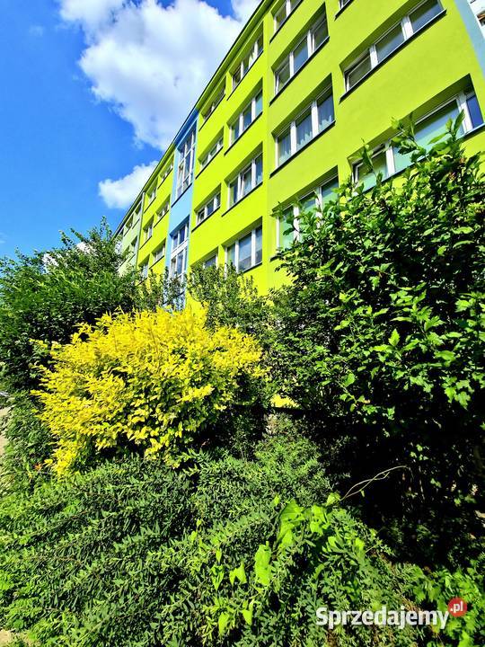 3pok 56met Kruczej ROZKŁADBALKONPIWNICA Wrocław piwnica