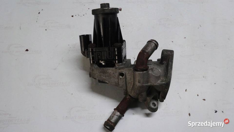 FORD TRANSIT 22 TDCI HDI 13r 100 DRRA zawór egr świętokrzyskie