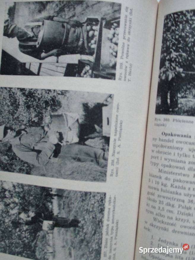 Sadownictwo Pieniążek rolnictwo sad uprawa Łódź sprzedam