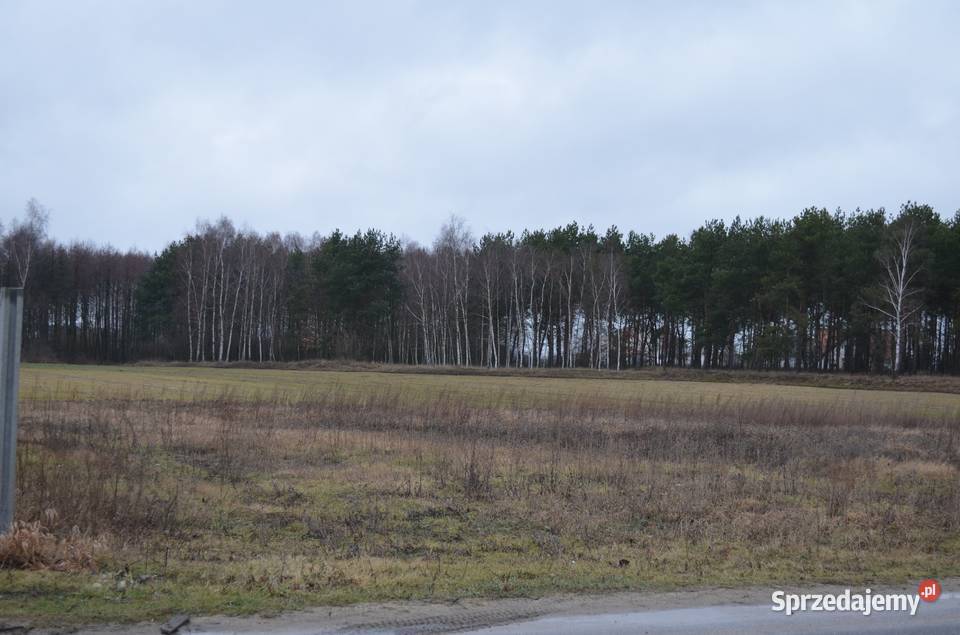 Działka w Mariampolu na sprzedaż 55zł/m2 Mariampol