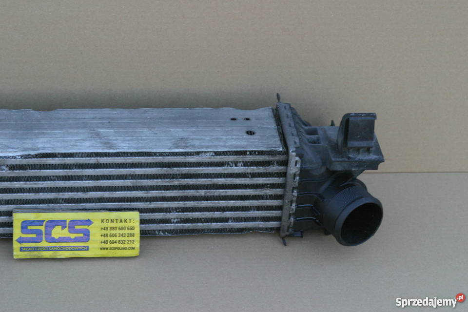 FIAT DUCATO III LIFT INTERCOOLER POWIETRZA lubuskie Bieleń sprzedam