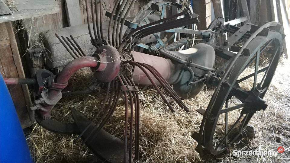 kopaczka konna do ziemniaków jednorzędowa Jarosław