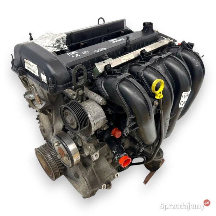 SILNIK QQDB Ford Focus II MK2 C C 18 16V 125 lubelskie Chełm