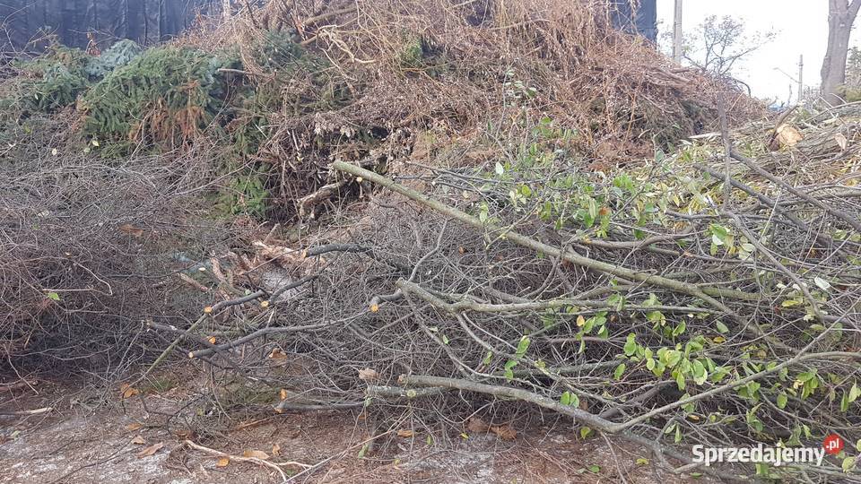 Przyjme KRZAKI ZIEMIE GRUZ GALEZIE KARPY Wolomin Radzymin