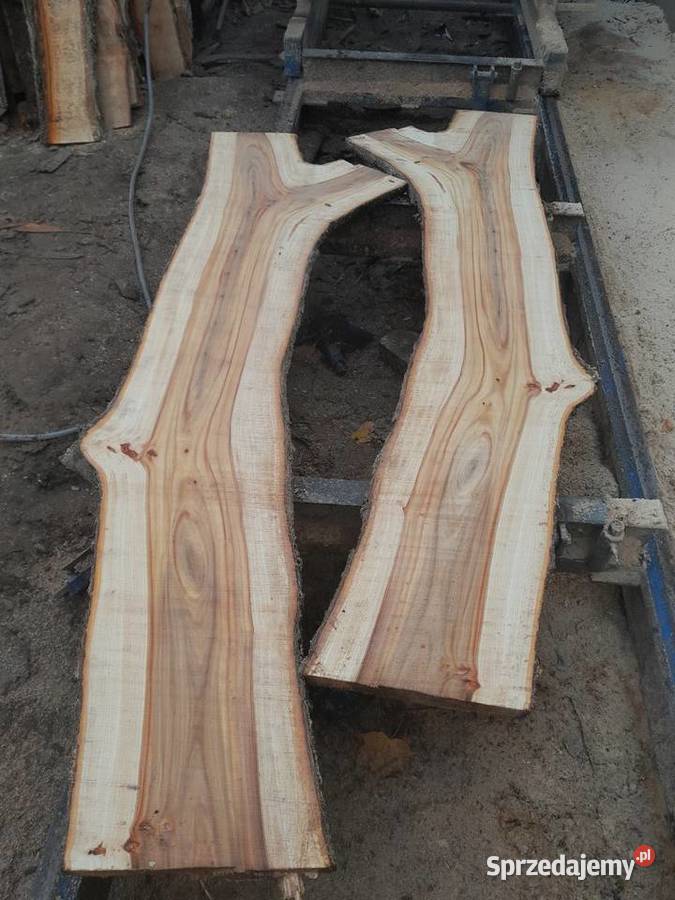 Deski z wiązu Ostrowiec Świętokrzyski