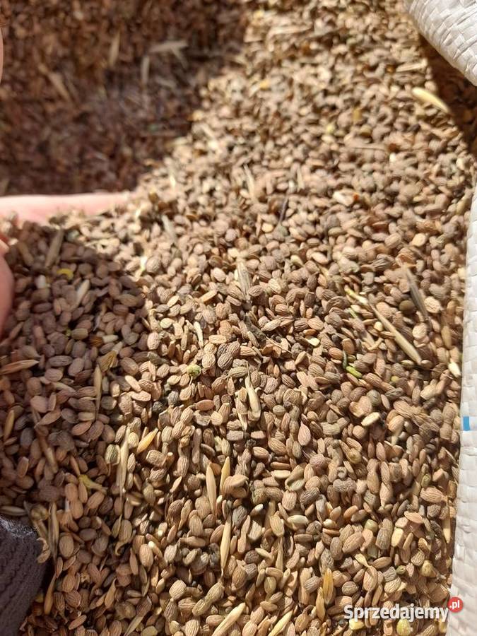 seradela ekologiczna certyfikat Radomsko