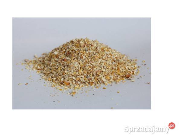 Pszenica kukurydza jęczmień cała gnieciona Oświęcim