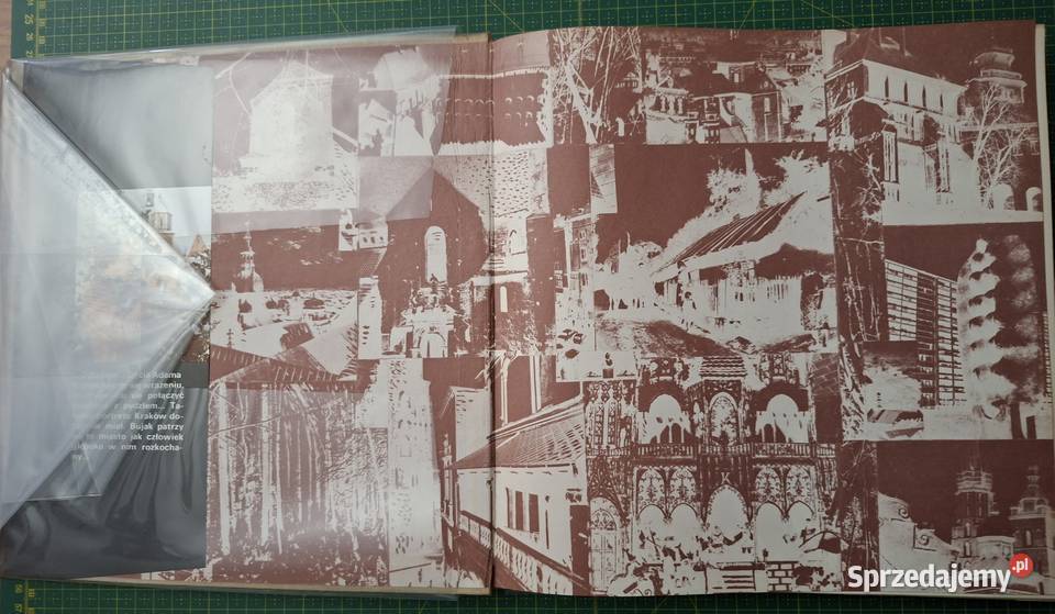 Krakowskie pejzaże Adam Bujak sztuka, kultura i etnologia Kraków