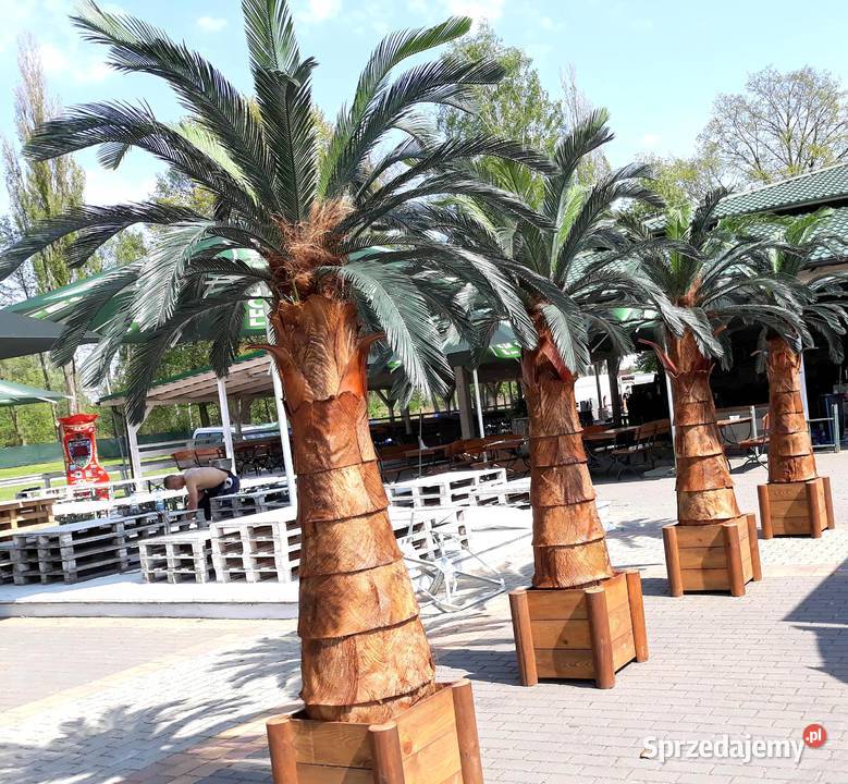 Palma Cykas 3m całoroczna sztuczne drzewka Wąbrzeźno sprzedam