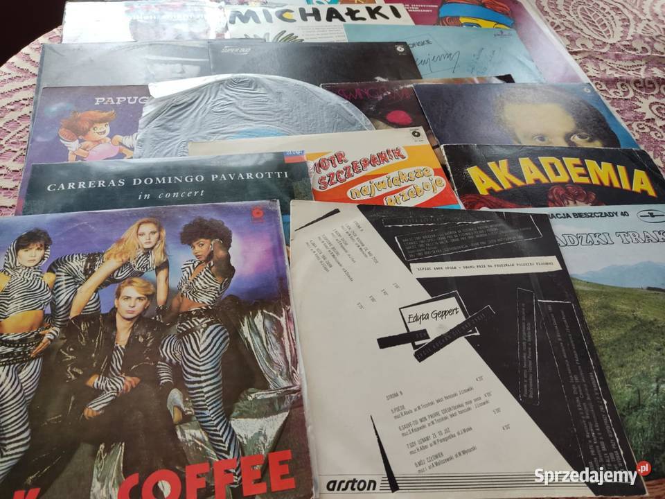 płyty winylowe 18 sztuk wyprzedaż kolekcji Gorzów Wielkopolski sprzedam