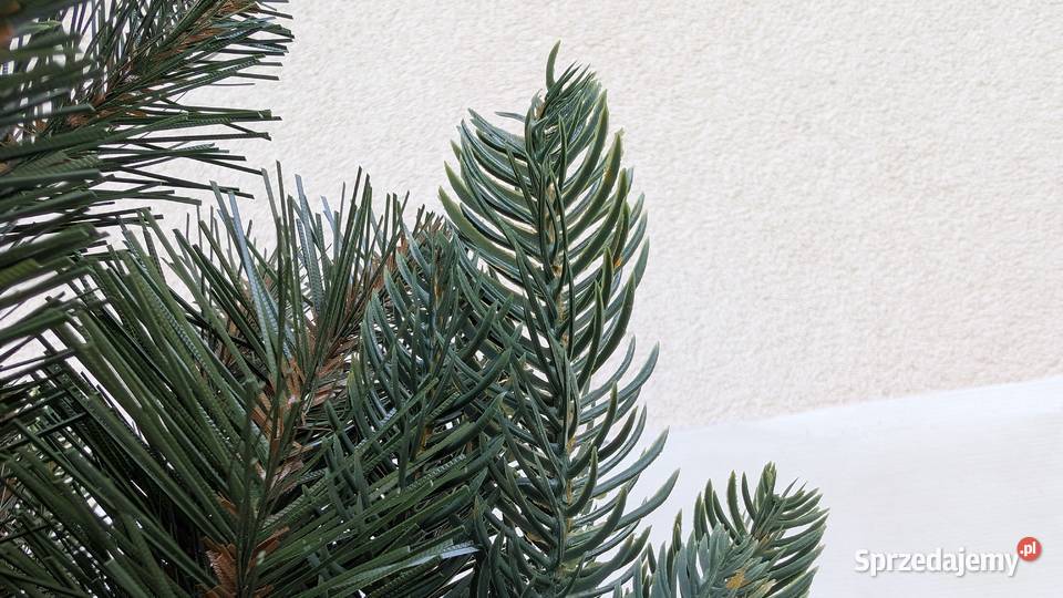 Choinka sztuczna Fairytrees Nordmann 150 jodła Jadowniki
