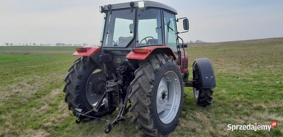 Massey Ferguson 4255 Grudziądz