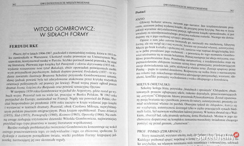 Repetytorium z języka polskiego Maciej Chełm
