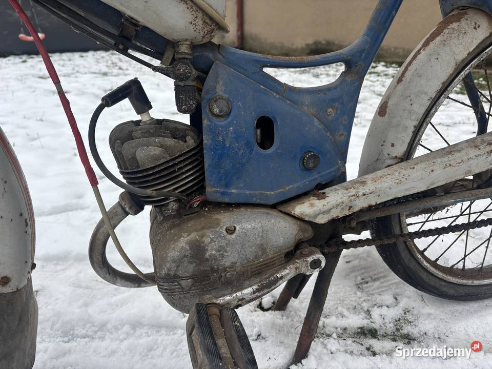 Komar Sztywniak oryginał Radomsko