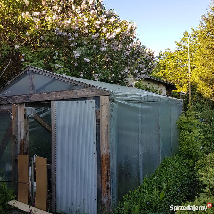 Ogródek działkowy rod słoneczne wzgórze matarnia Grunty i działki Gdańsk sprzedam