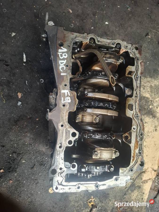 RENAULT 19 DCI F9 dół silnika blok wał tłoki Kielce