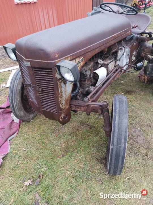 Massey Ferguson tea 20 Koszalin