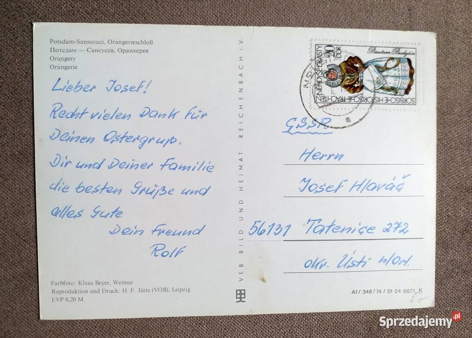 WIDOK NA ORANŻERIĘ W PAŁACU SANSSOUCI W Piszczac