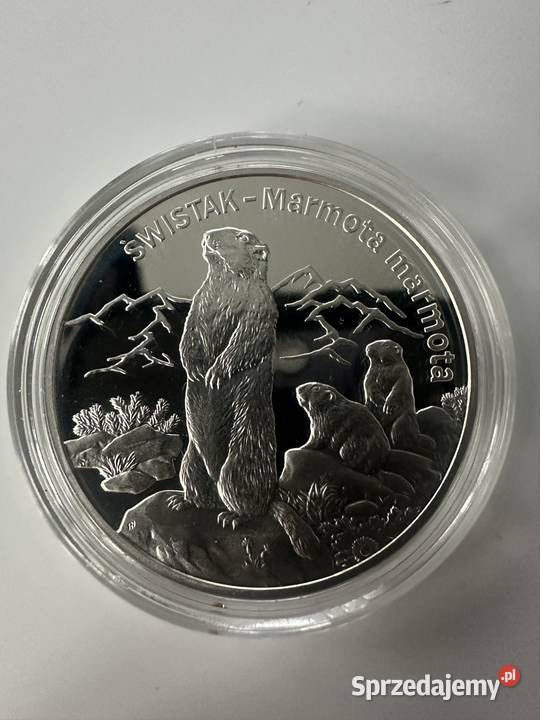 Moneta kolekcjonerska sprzedam