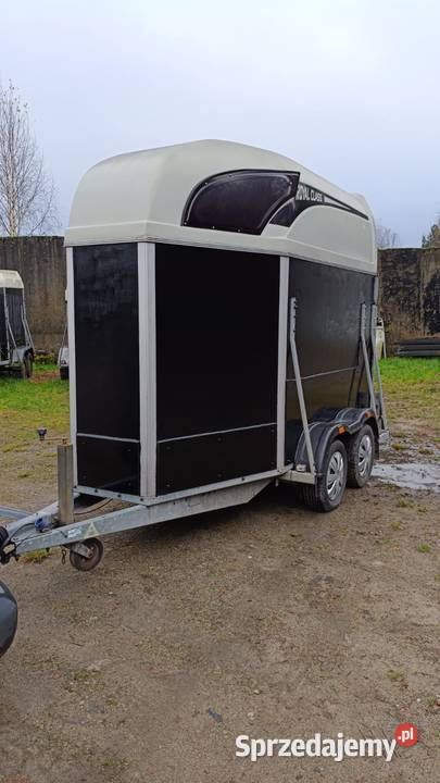 Przyczepa do przewozu koni zwierząt Atec wynajem ATC Jastrowie