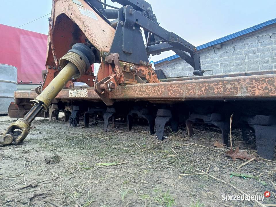 Brona aktywna maschio 3m Leśniaki