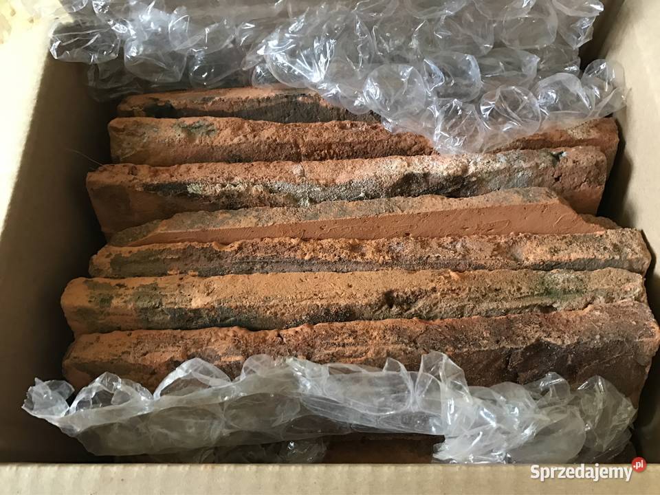 Płytki z poniemieckiej cegły