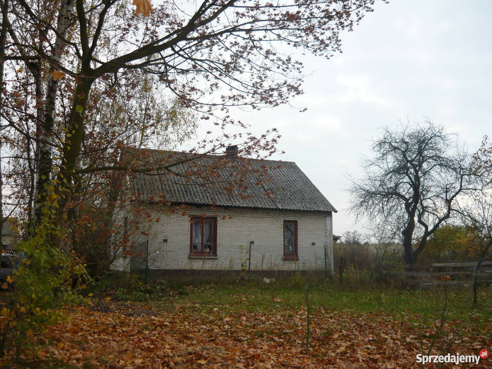 Siedlisko między Szydłowcem a Orońskiem mieszkalny Świniów