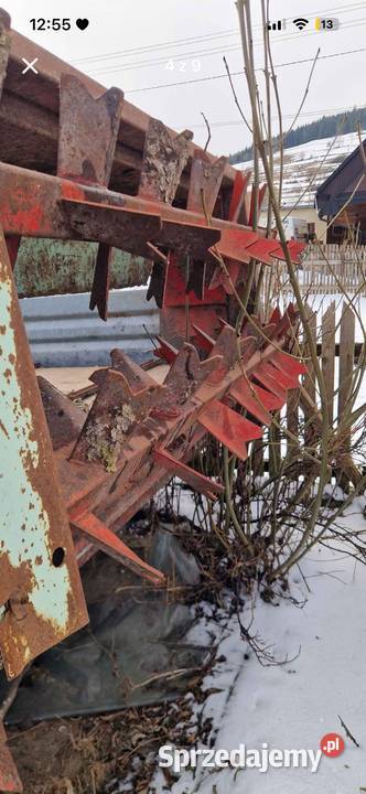 Rozrzutnik vogel and noot Konina