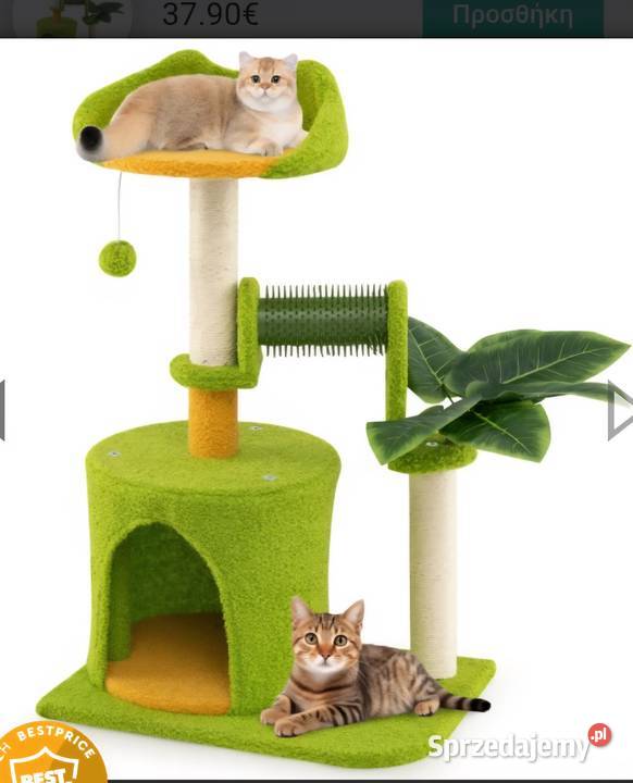 Drapak kota COSTWAY łódzkie Błaszki